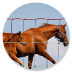 agricultural fencing